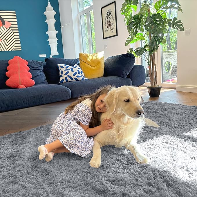 OLANLY 5x7 Machine Washable Large Area Rugs for Living Room, Bedroom, Soft Fluffy Shaggy Bedside Rug, Indoor Floor Carpet for Kids Girls and Boys, Dorms, Nursery, Home Decor, Silver Grey