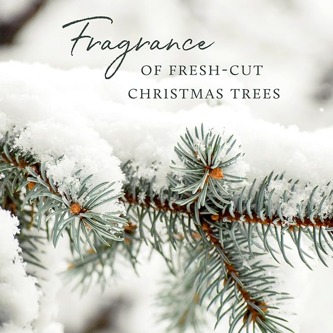 Thymes Frasier Fir Flocked Jar Candles – Holiday Scented Candles for Home with Notes of Crisp Siberian Fir, Cedarwood & Sandalwood – Luxury Home Decor Gifts for Women & Men (6.5 oz)