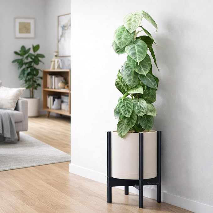 D'vine Dev Planter Pot with Stand - 10 Inch Plastic Cylinder Flower Pot with Wood Planter Holder for Indoor, Oatmeal Pot + Ebony Stand, 55-C-N-4