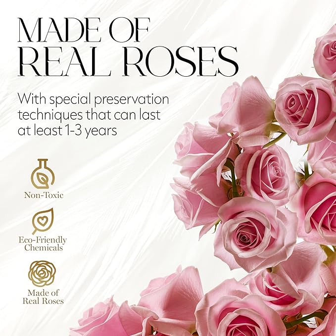 GLAMOUR BOUTIQUE Flowers Forever Gift Box 12 Real Preserved Roses in a Velvet Black Box, Birthday for Her Mom and Wife, Mothers Day, Anniversary, Graduation - Pink