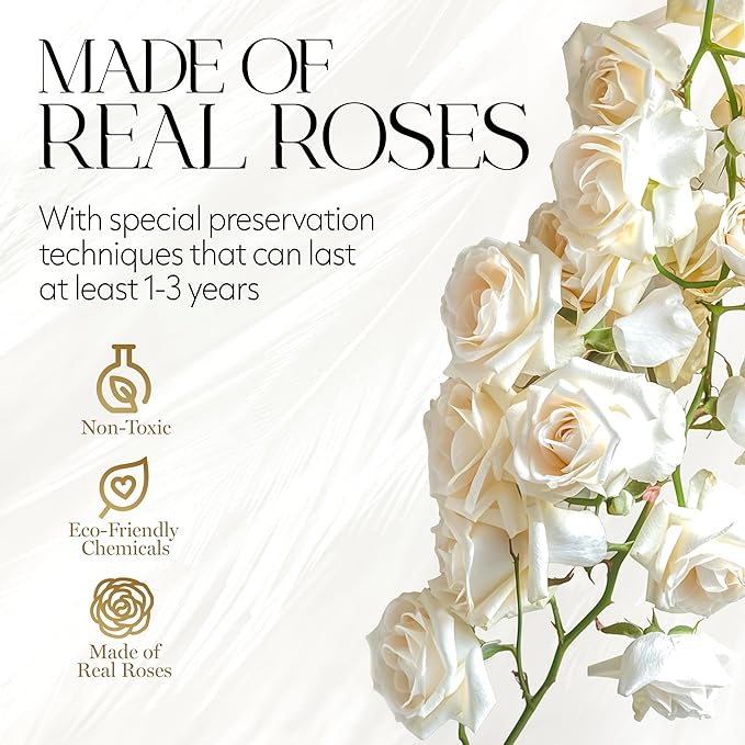 GLAMOUR BOUTIQUE Flowers Forever Gift Box 12 Real Preserved Roses in a Velvet Black Box, Birthday Gift for Her Mom and Wife, Mothers Day, Anniversary, Graduation - White