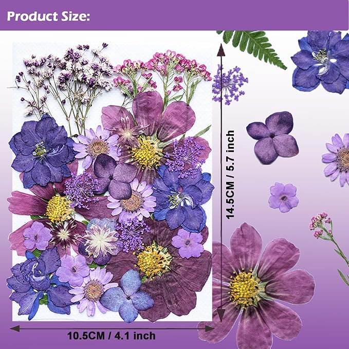 30Pcs Dried Pressed Natural Flowers for Resin Molds Real Pressed Flowers Dry Leaves Bulk Natural Herbs Kit for DIY Scrapbooking Art Crafts Jewelry Molds Candle Soap Making Nails Decor (Purple)