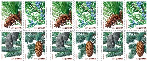 Holiday Evergreen Stamps by Forever - Pane of 20 for Festive Mailings