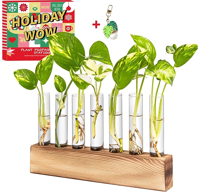 KAXYEW Plant Terrarium with Wooden Stand, Plant Propagation Tubes, 7 Test Tubes Glass Planter for Hydroponic Plant Cuttings Home Office Décor