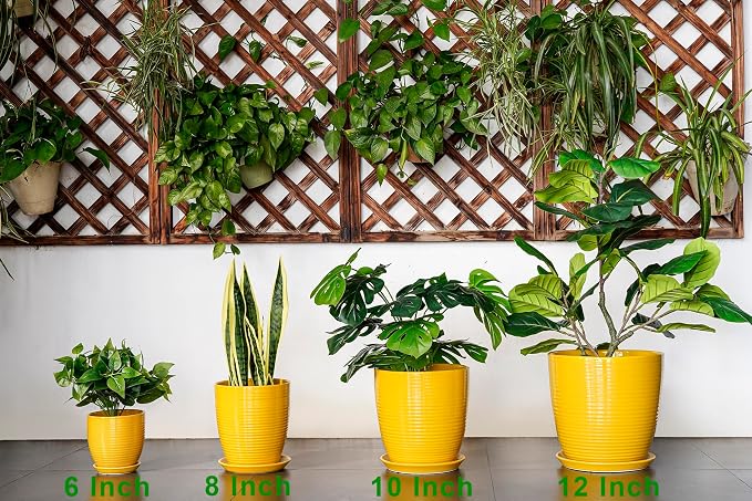 Ceramic Pots for Plants - 6 Inch Plant Pot for Indoor Plants, Ceramic Planter with Drainage Hole and Saucer, Round Decorative Flower Pots, Desk Home Decor, Plant Lover Gifts, Glossy-Yellow