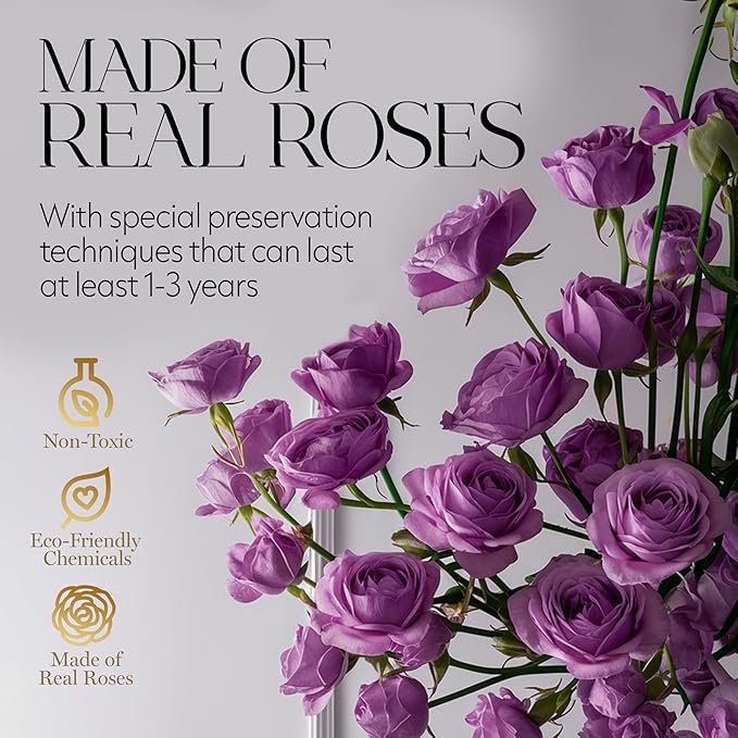 GLAMOUR BOUTIQUE Flowers Forever Gift Box 12 Real Preserved Roses in a Velvet Box, Birthday for Her Mom and Wife, Mothers Day, Anniversary, Graduation - Purple