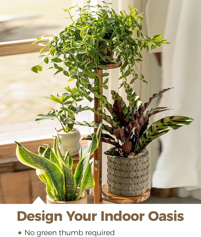Bamworld Plant Stand Indoor Plant Shelf 4 Tier Wood Plant Stand for Multiple Plants, Tall Corner Plant Stands for Outdoor Round Flower Stand Plant Holder for Living Room Patio Garden Balcony