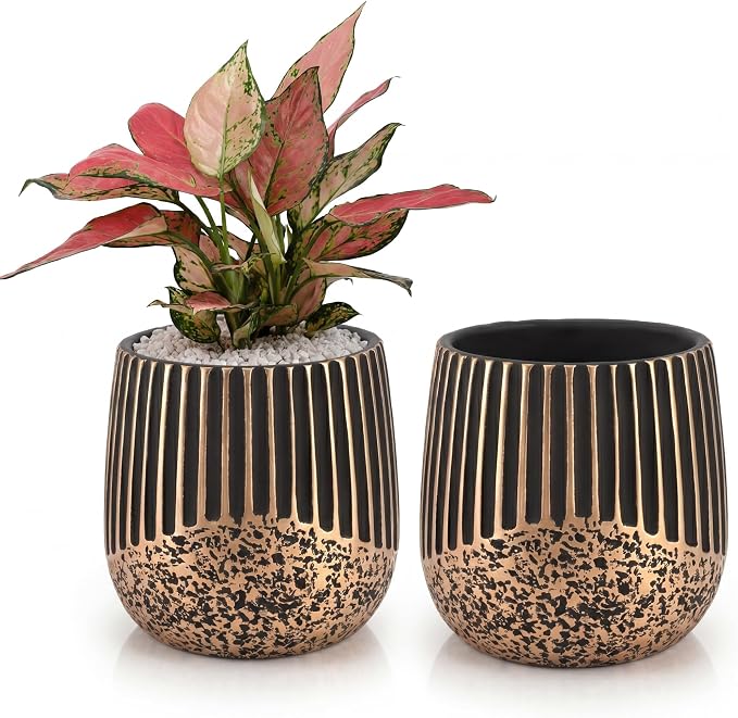 Vanavazon 2-Pack Cement Plant Pots for Indoor Plants,6 Inch Flower Pots with Drainage Holes for Houseplants,Succulents, Snake Plants (Black Gold)