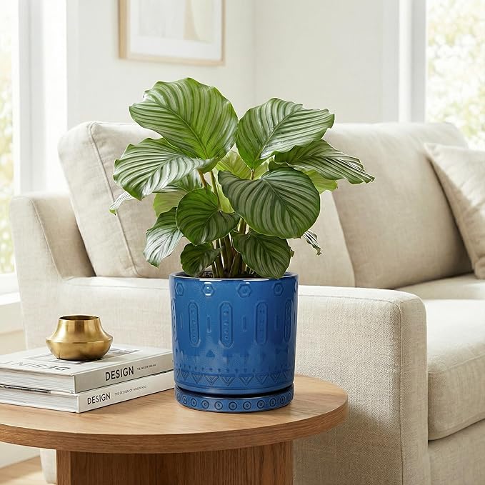 Eightpot Ceramic Planter, 6 Inch Plant Pot with Drainage Hole and Tray, Round Flower Pots for Indoor Outdoor Plants, Boho Decorative Pots for Plants, Bookshelf Decor, House Warming Gift, Blue