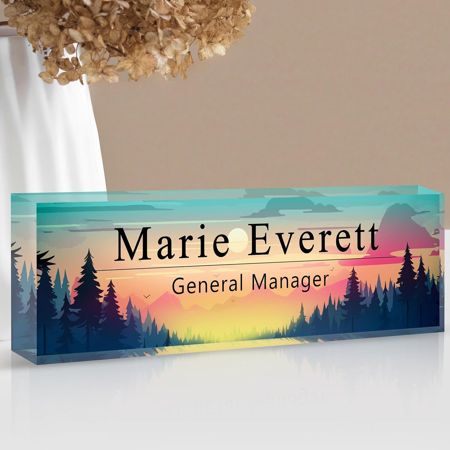 Skiennix Custom Name Plate - Personalized Acrylic Desk Accessory | Ideal Boss Appreciation Gift