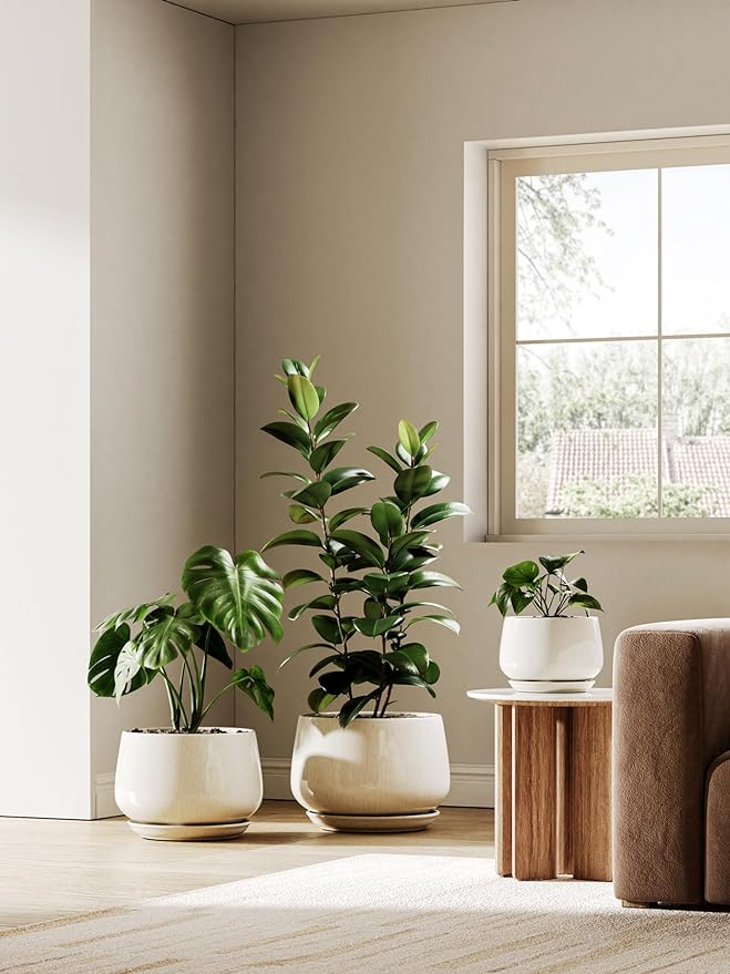 LE TAUCI 12 Inch Pots for Plants, Ceramic Planter with Drainage Hole & Saucer, Thick-Walled Ceramic, Planters for Indoor Plants, Ideal for Living Room & Entryway, Reactive Glaze Beige