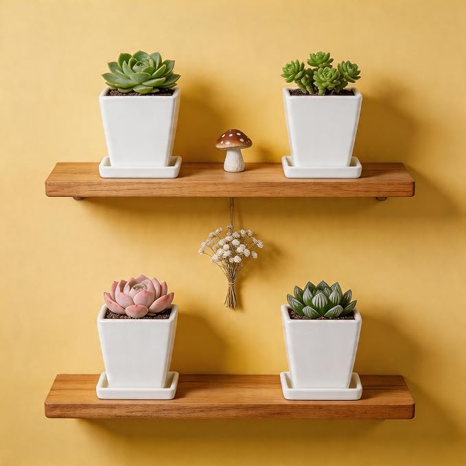 White Ceramic Plant Pots with Saucers, 4 Inch Square Succulent Planter Pots Set of 4, Modern Minimalist Small Flower Pots for Indoor Plants, Cactus, Herbs, Home Office Decor
