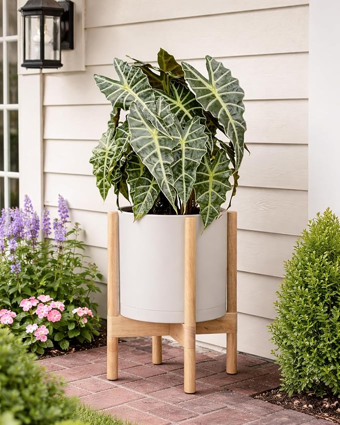 D'vine Dev Planter Pot with Stand - 10 Inch Plastic Cylinder Flower Pot with Wood Planter Holder for Indoor, Oatmeal Pot + Natural Stand, 55-C-M-4