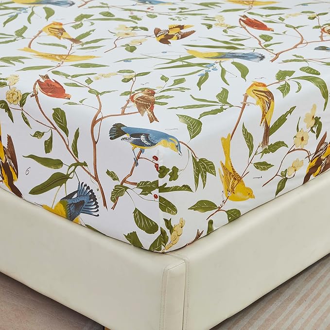 Brandream Eastern Floral Birds Chinoiserie Blossom Print Bed Sheet Set Luxury Bedding Collections 800TC 100% Egyptian Cotton Deep Pocket White Green Botanical Tree Branches Ornamental, 4Pc-Queen Size