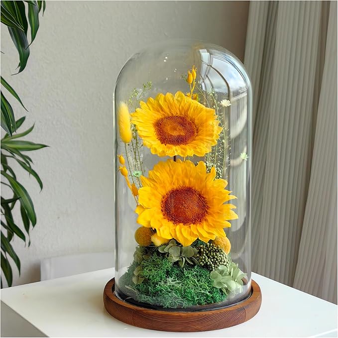 Flowers for Delivery - Forever Flowers Sunflower in Glass Dome with LED Lights, Large Size Preserved Sunflower Gifts for Women, Mom, Wife, Friend -Birthday, Valentine's Day Gift (Sunflower)