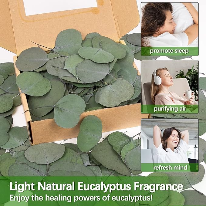 Real Eucalyptus Leaves for Shower 500PCS Green Dried Eucalyptus Leaves Bulk for Wedding Home Party Bridal Showers Baby Shower DIY Garland Cake Table Center Spring Decorations