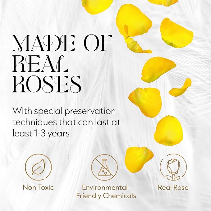 GLAMOUR BOUTIQUE Flower Forever Gift Box 12 Real Preserved Roses in Round Velvet White Box, Handmade, Rose Petals, Birthday, Marriage, Anniversary, Graduation - Yellow