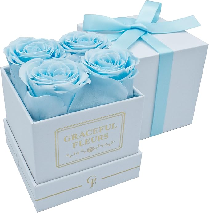 Graceful Fleurs | Real Long Lasting Roses for Years | Preserved Fresh Flowers for Delivery Birthday | Birthday Gifts for Women | Forever Roses in a Box (Baby Blue, White Box, 4 Roses)