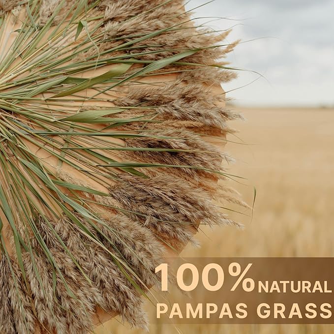 33pcs Pampas Grass Decor-Natural Dried Fluffy Brown Pompas Grass,Short Fluffy Pampas Grass Bulk for Small Boho vases,Wedding Flower,Boho Home Decor,Living Room Table Decor(17inch)