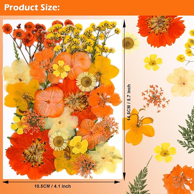 30Pcs Dried Pressed Natural Flowers for Resin Molds Real Pressed Flowers Dry Leaves Bulk Natural Herbs Kit for DIY Scrapbooking Art Crafts Jewelry Molds Candle Soap Making Nails Decor (Orange)