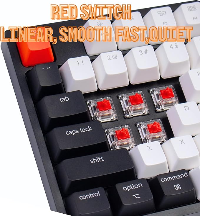 Keychron C2 Full Size 104 Keys Wired Mechanical Gaming Keyboard for Mac Layout with Gateron G Pro Red Switch/White LED Backlight/Double Shot ABS Keycaps/USB C Computer Keyboard for Windows Laptop