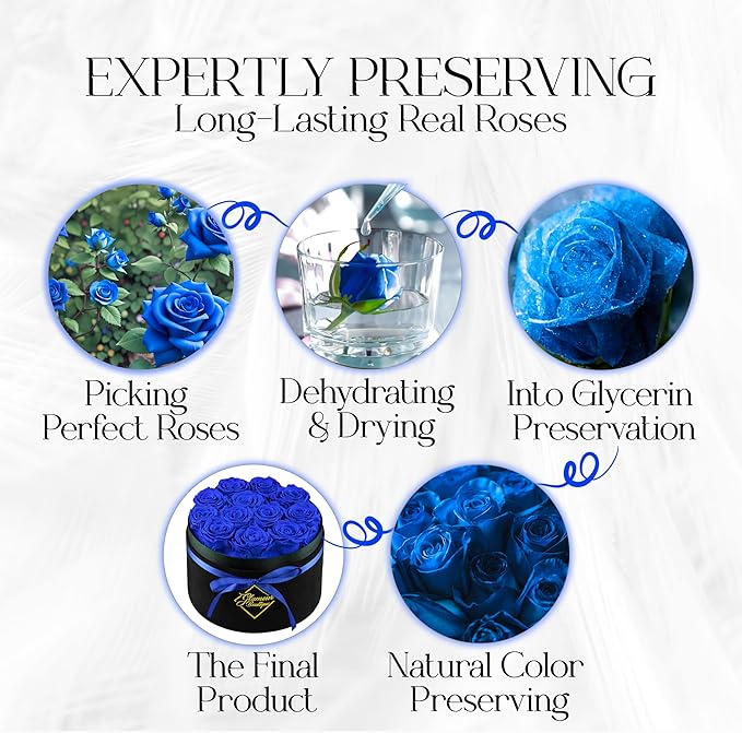 GLAMOUR BOUTIQUE Flowers Forever Gift Box 12 Real Preserved Roses in a Velvet Black Box, Birthday Gift for Wife Mom and Her, Mothers Day, Anniversary, Graduation - Blue