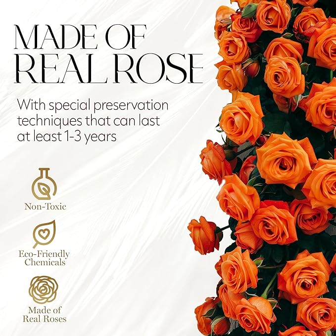 GLAMOUR BOUTIQUE Flowers Forever Gift Box 12 Real Preserved Roses in a Velvet Black Box, Birthday Rose Gift for Wife Mom and Her, Mothers Day, Anniversary, Graduation - Orange