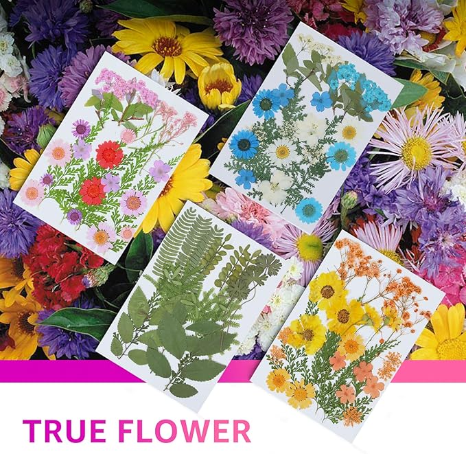 96Pcs Dried Pressed Flowers for Resin, Bulk Natural Dried Flowers,for Scrapbooking DIY Art Crafts Resin Accessories, Soap,Candle Making Nails Decor. Epoxy Resin Jewelry Molds.Craft Making