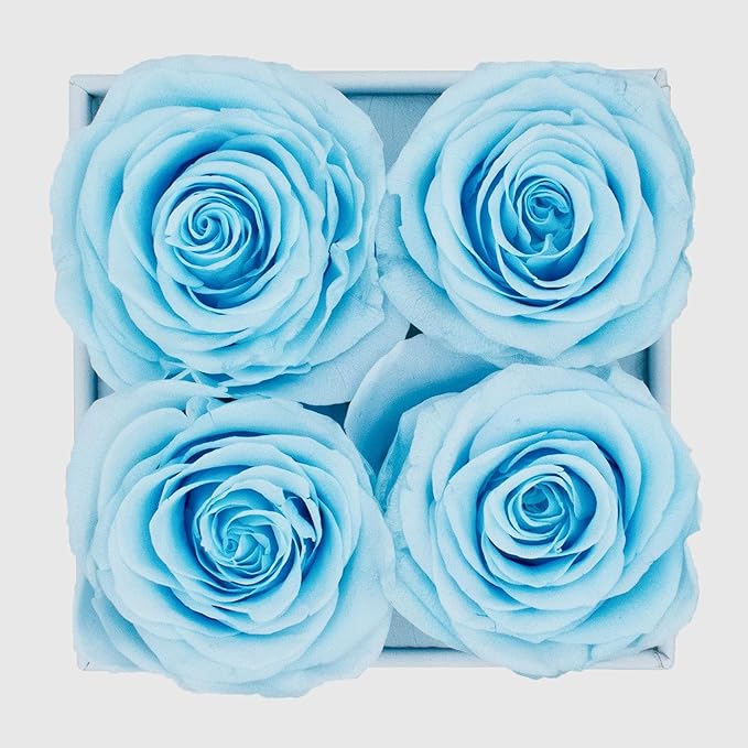 Graceful Fleurs | Real Long Lasting Roses for Years | Preserved Fresh Flowers for Delivery Birthday | Birthday Gifts for Women | Forever Roses in a Box (Baby Blue, White Box, 4 Roses)