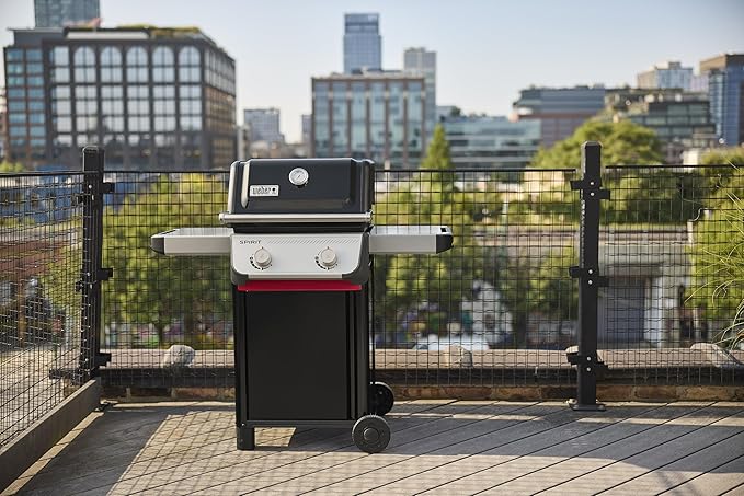 Weber Spirit E-210 Liquid Propane Gas Grill for Outdoor Cooking and BBQ, 2 Burners, Black