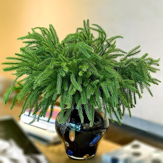 16 Pcs Christmas Norfolk Pine Stems Fake Cypress Stems Plastic Pine Greenery Real Touch Greenery Picks Artificial DIY Plastic Picks for Holiday Winter Table Xmas Decor（NO VASE）