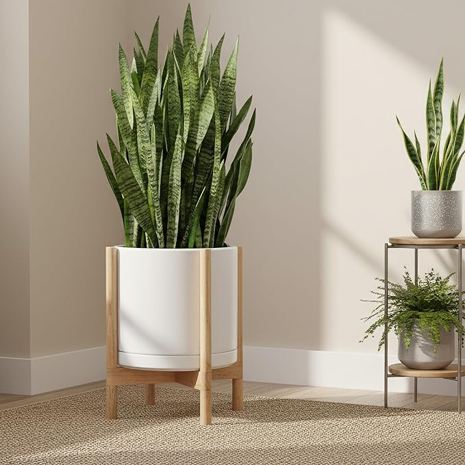 D'vine Dev Ceramic Planter with Natural Stand - 14 Inch Modern Round Flower Pot with Wood Planter Holder, White, 55-B-R-1