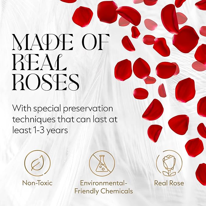 GLAMOUR BOUTIQUE Flowers Forever in a Box 12 Preserved Roses in Velvet Box, Birthday, for Women, Eternal Rose for Wife, Mom Flower - Red