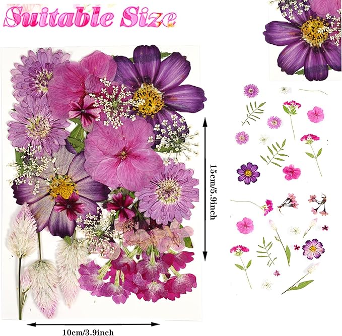 Purple Dried Pressed Flowers Bulk Dried Flowers for Crafts, Real Natural Bulk Dry Flowers for Resin Molds ,for Scrapbooking DIY Candle Soap ewellery Making Gifts