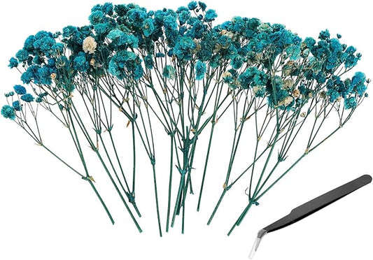 PATIKIL Mini Dried Gypsophila Flower Kit, 30Pcs 4 Inch Blue Natural Pressed Floral Bundles with Tweezer for DIY Resin Crafts Gift Wedding Christmas Card Decor Flower Bouquets