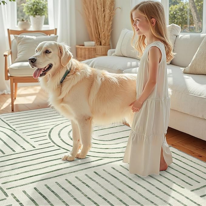 DCX Abstract Machine Washable 4x6 Rug, Sage Green Modern Accent Rug for Living Room, Soft Low Pile Non Slip Carpet, Kid & Pet Friendly Stain Resistant Rug for Bedroom Dining Room Office