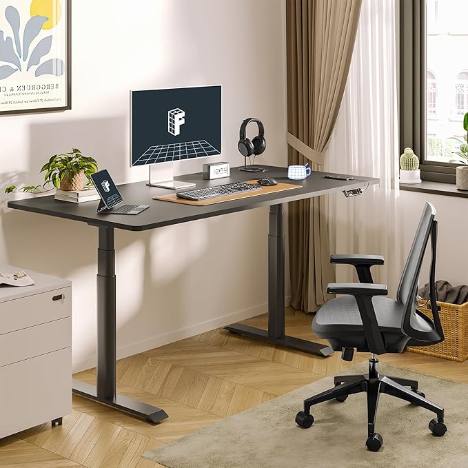 FLEXISPOT E6 Pro Oval Leg Dual Motor 3 Stages Standing Desk 60x24 Inch Whole-Piece Board Electric Height Adjustable Electric Sit Stand Up Desk 150KG Load Capacity (Black Frame + Black Desktop)