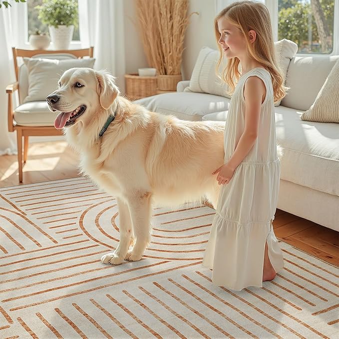 DCX Abstract Machine Washable 5x7 Rug, Orange Modern Accent Rug for Living Room, Soft Low Pile Non Slip Carpet, Kid & Pet Friendly Stain Resistant Rug for Bedroom Dining Room Office