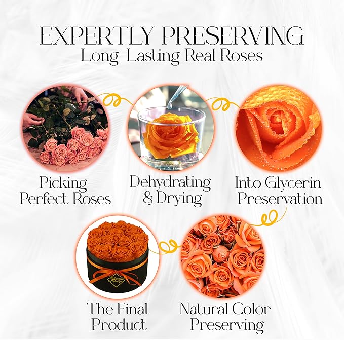 GLAMOUR BOUTIQUE Flowers Forever Gift Box 12 Real Preserved Roses in a Velvet Black Box, Birthday Rose Gift for Wife Mom and Her, Mothers Day, Anniversary, Graduation - Orange