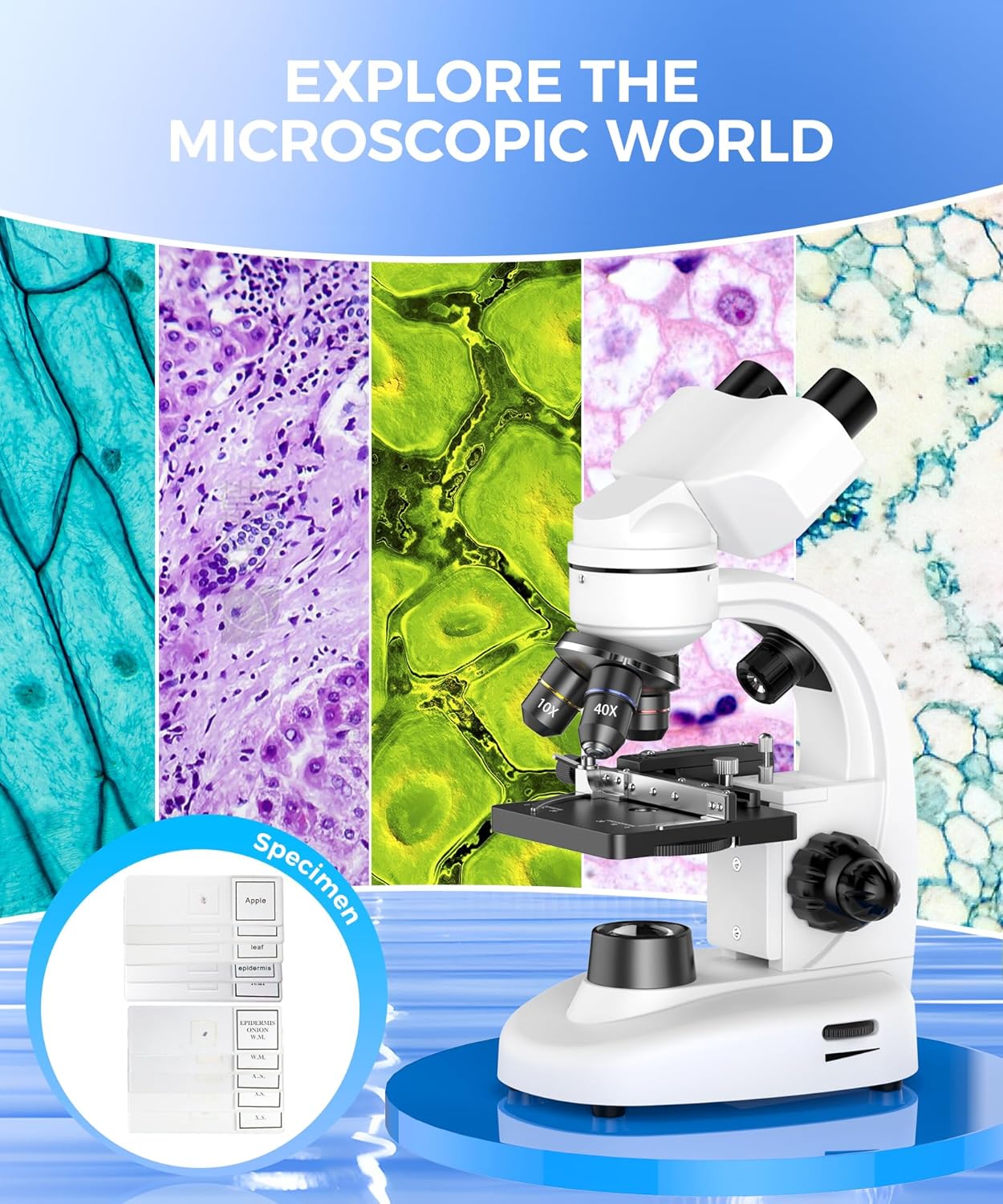 Skiennix Compound Binocular Microscope - 40X-2000X Magnification with LED Illumination | Ideal for Lab, School & Home Education