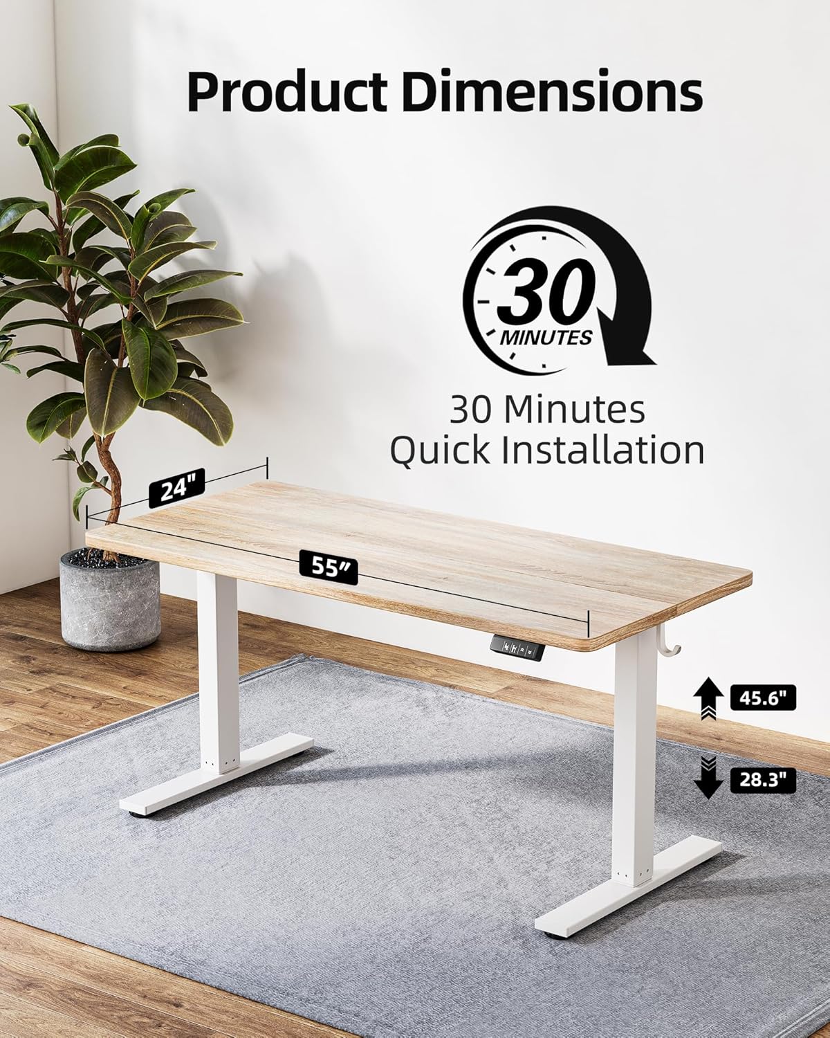 TIQLAB Electric Standing Desk - Height Adjustable Sit-Stand Workstation | 55 x 24 Inch, White Frame/Maple Top