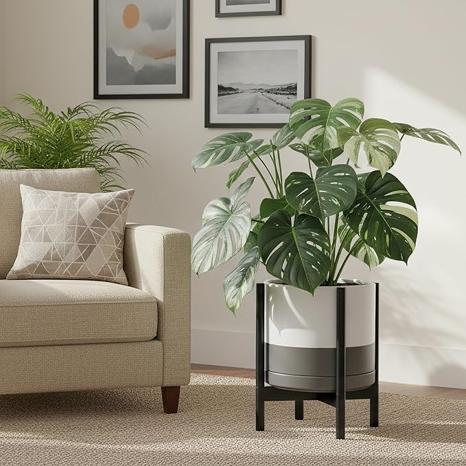 D'vine Dev Ceramic Planter with Ebony Stand - 14 Inch Modern Round Flower Pot with Wood Planter Holder, White/Grey, 55-B-S-6
