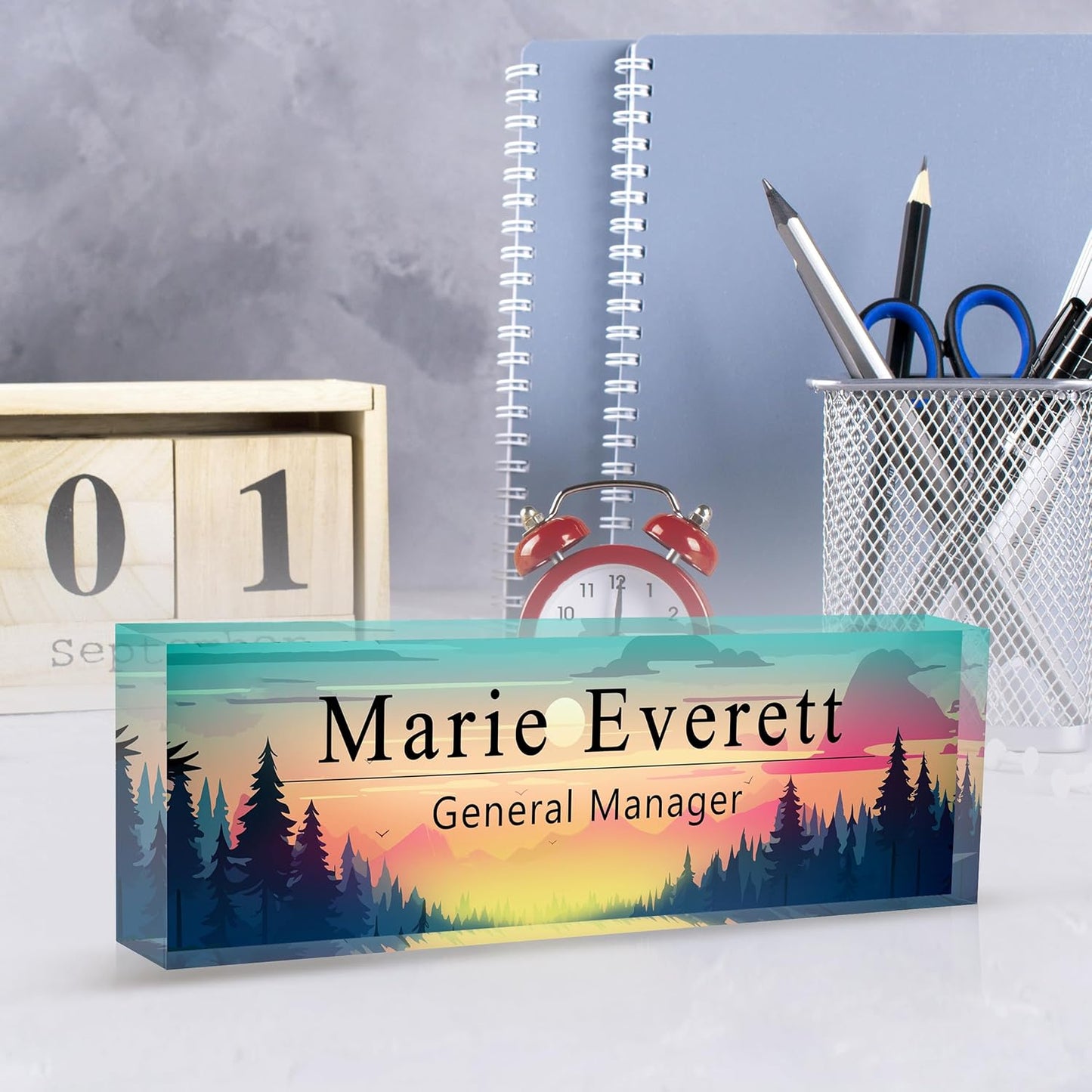 Skiennix Custom Name Plate - Personalized Acrylic Desk Accessory | Ideal Boss Appreciation Gift