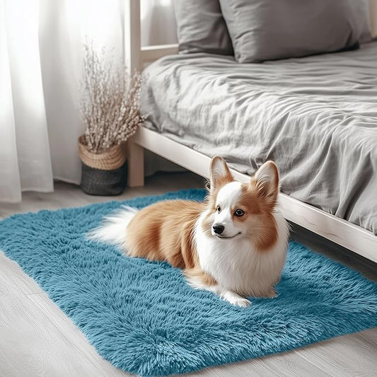 OLANLY 2x3 Machine Washable Small Bedside Rug, Soft Fluffy Shaggy Entryway Throw Rugs for Bedroom, Living Room, Indoor Floor Carpet for Kids Girls and Boys, Home Decor Aesthetic, Slate Blue