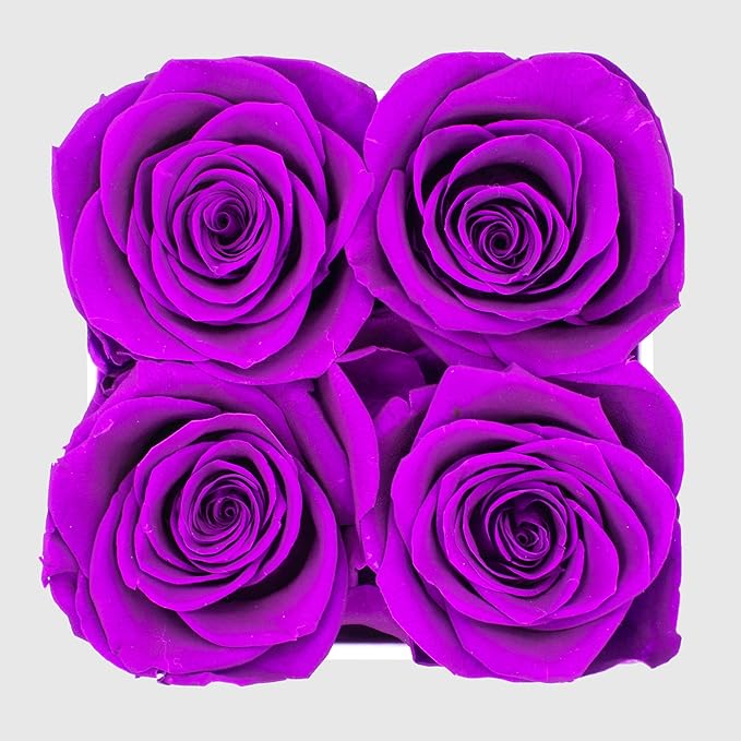 Graceful Fleurs | Real Long Lasting Roses for Years | Preserved Fresh Flowers for Delivery Birthday | Birthday Gifts for Women | Forever Roses in a Box (Purple, White Box, 4 Roses)