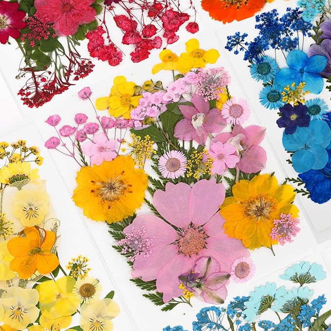 30Pcs Dried Pressed Natural Flowers for Resin Molds Real Pressed Flowers Dry Leaves Bulk Natural Herbs Kit for DIY Scrapbooking Art Crafts Jewelry Molds Candle Soap Making Nails Decor (Yellow+ Pink)