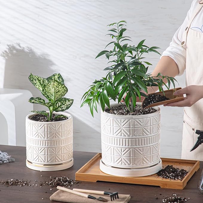 Ceramic Plant Pots Indoor-Outdoor: 8 Inch Embossed Planters with Drainage Hole & Saucer - Modern Decorative Flower Pots for Home Garden Patio Office Decor