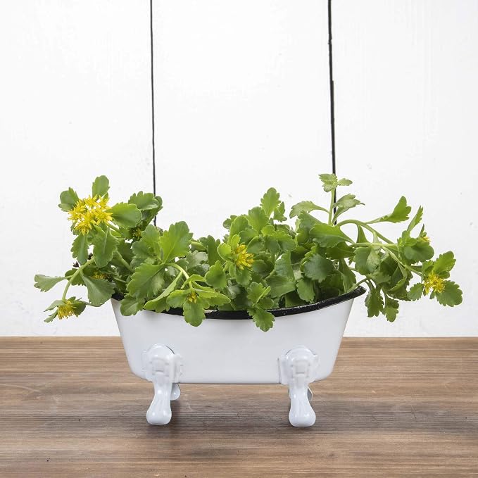 Foreside Home and Garden Black Rim White Enamel Bathtub Soap Dish - Foreside Home & Garden 5.5 x 2.75 x 2.75
