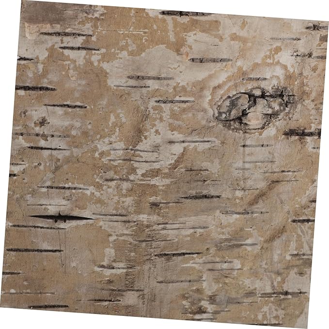 Birch Bark Succulent Planter Box Natural Wooden Flower Pot with Ventilation Vintage Rustic Vase for Home Office Patio Balcony Decor DIY Holiday Craft Container
