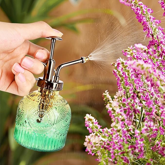 Glass Plant Mister Spray Bottle, 230ML Vintage Plant Spritzer, Succulent Watering Bottle Glass with Top Pump, Small Plants Sprayer Watering Can for Indoor Outdoor House